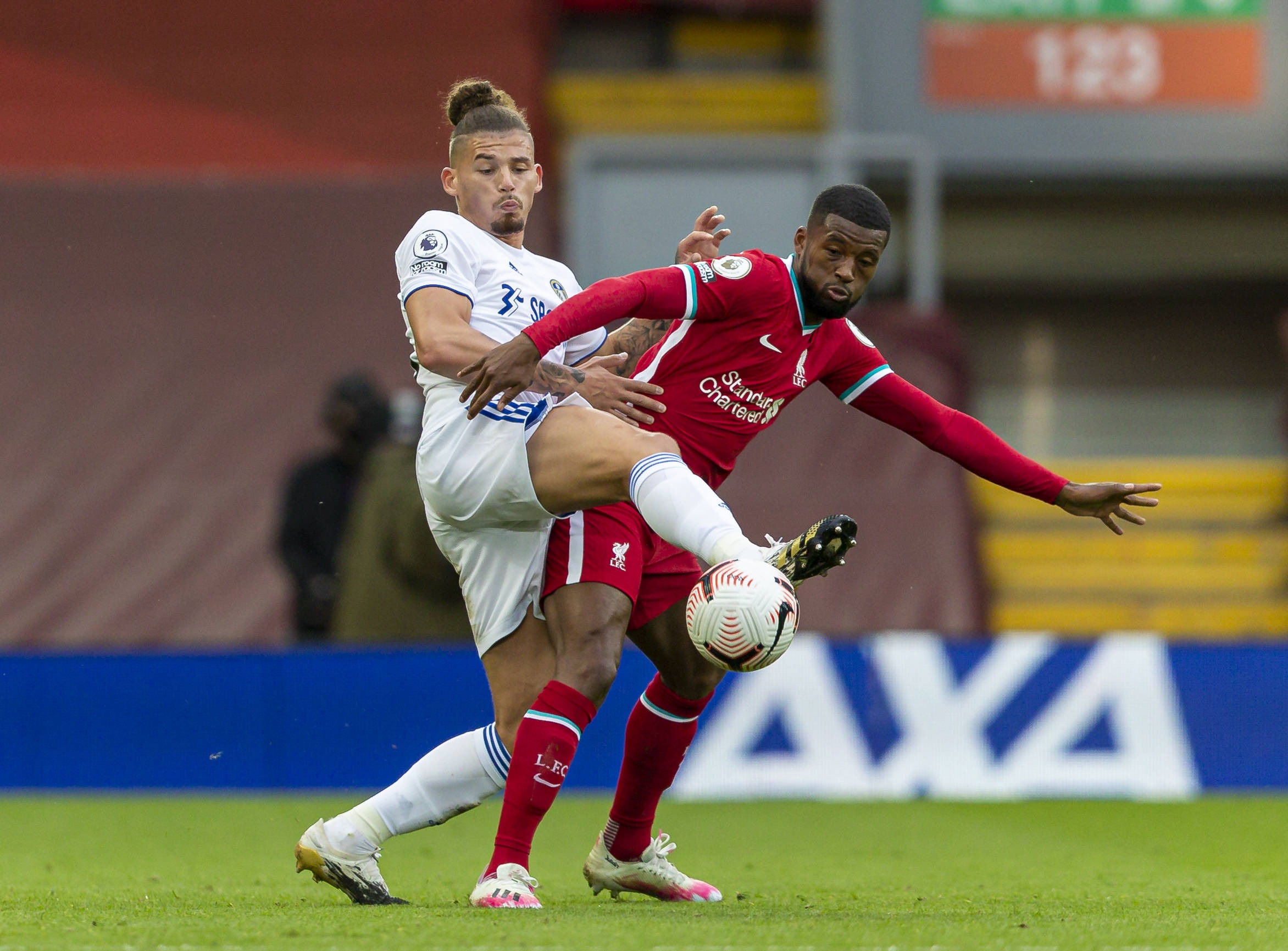 总教练的角 总教练的角